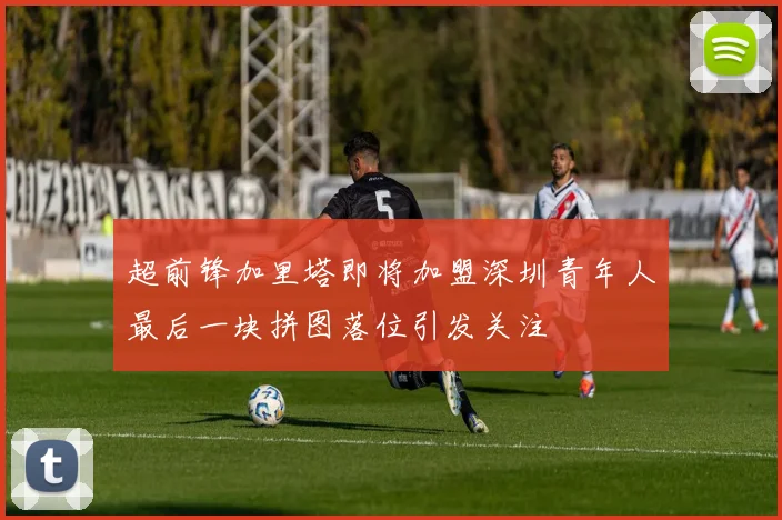 超前锋加里塔即将加盟深圳青年人最后一块拼图落位引发关注