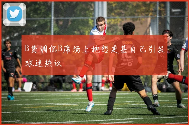 B费调侃B席场上抱怨更甚自己引发球迷热议