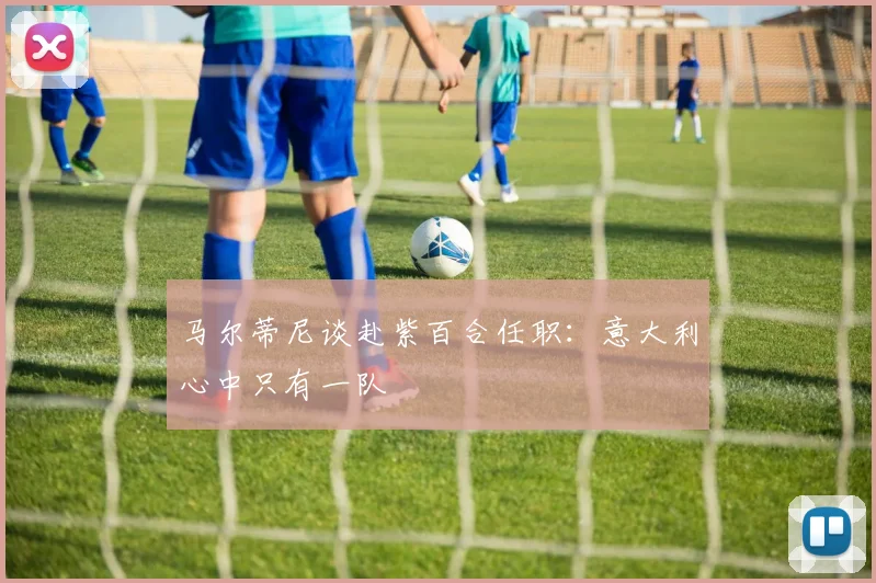 马尔蒂尼谈赴紫百合任职：意大利心中只有一队